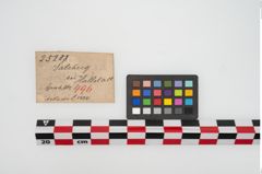 Etikett zu Bronzemehrkopfnadel (NHMW-PRAE-025208)